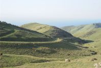 2006-02-13-013-View