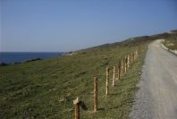 2006-02-13-021-Coast