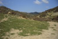 2006-02-13-025-View