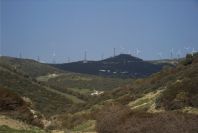 2006-02-13-026-Wind-Mills