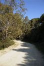 2006-02-13-036-Track
