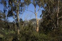 2006-02-13-037-View