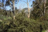 2006-02-13-038-View