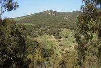 2006-02-13-039-View