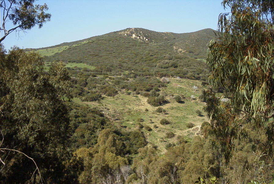 2006-02-13-039-View