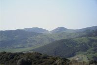 2006-02-13-042-View