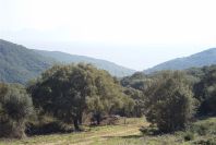 2006-02-13-047-View
