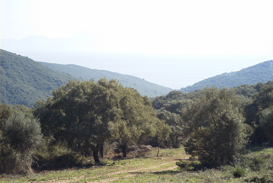 2006-02-13-047-View