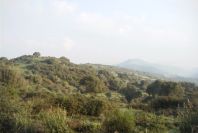 2006-02-14-010-View