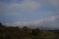 2006-02-14-011-View