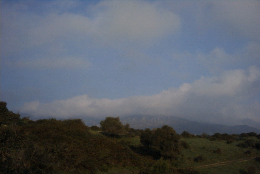 2006-02-14-011-View