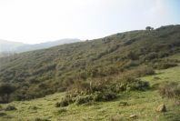 2006-02-14-013-View