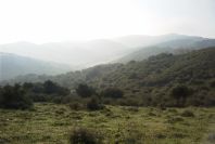2006-02-14-014-View