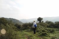 2006-02-14-016-View
