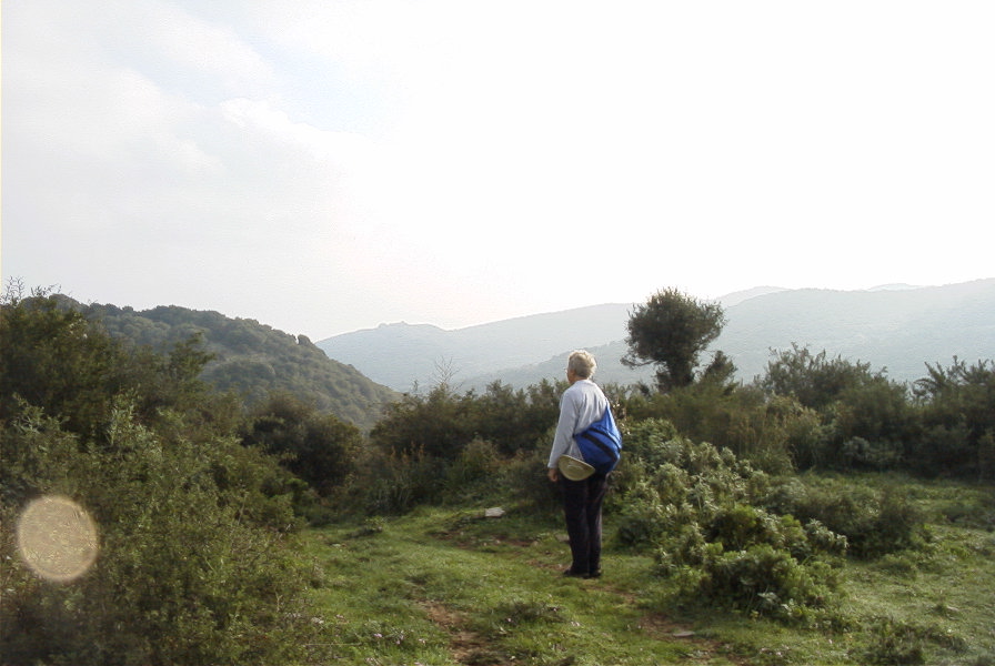 2006-02-14-016-View