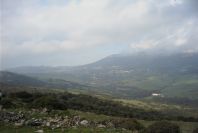 2006-02-14-019-View