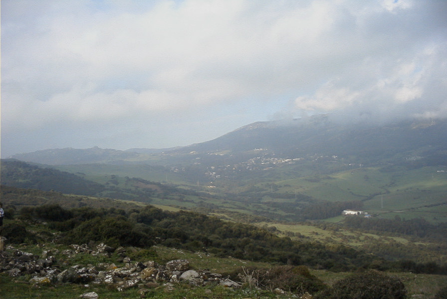 2006-02-14-019-View