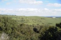 2006-02-16-017-View