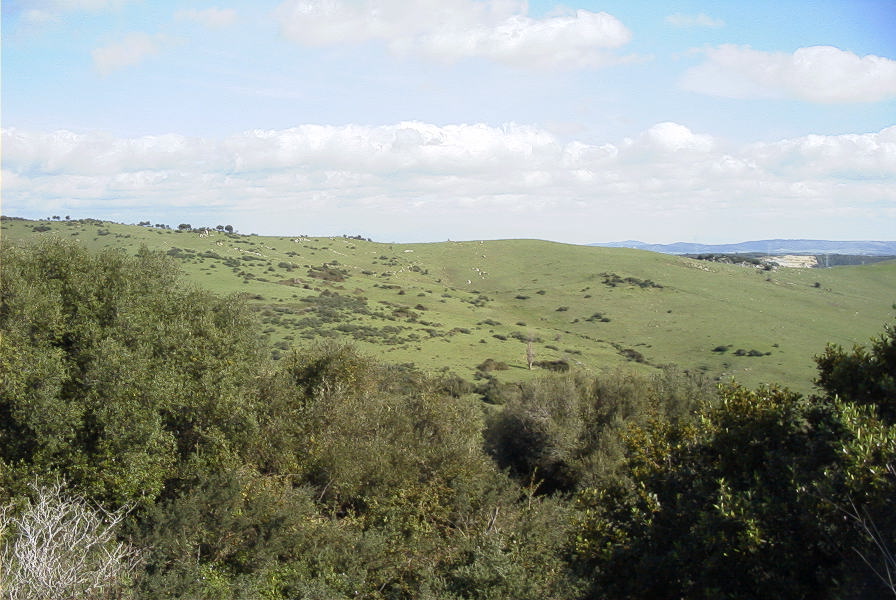2006-02-16-017-View