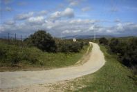 2006-02-16-018-View