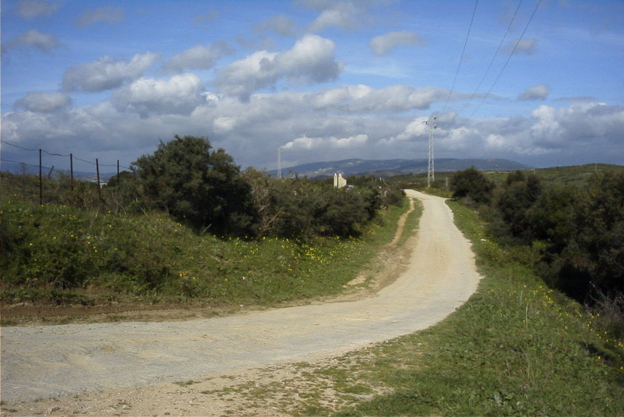 2006-02-16-018-View