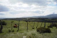 2006-02-16-021-View