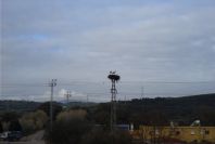 2006-02-17-004-Storks