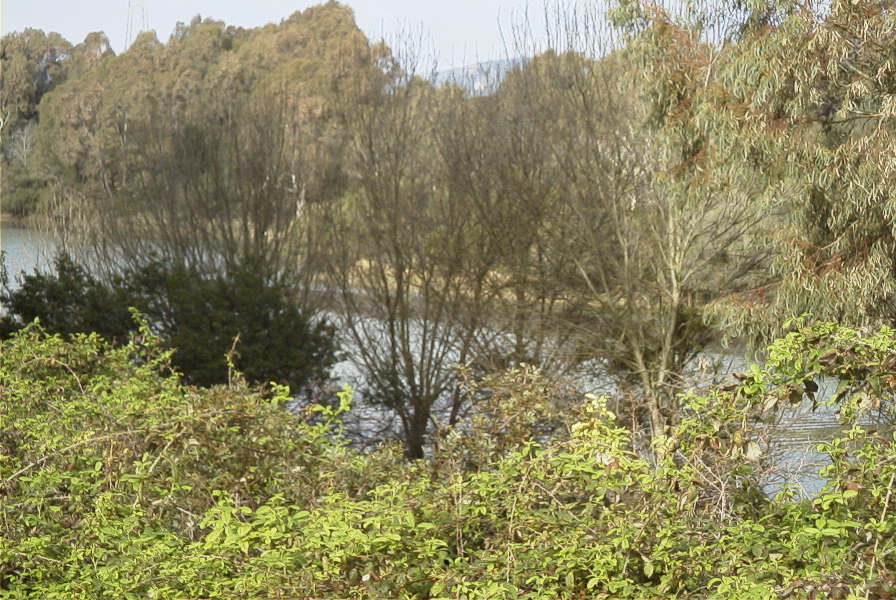 2006-02-17-006-Dam-and-lake