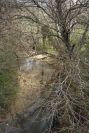 2006-02-17-008-Stream