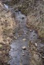 2006-02-17-009-Stream
