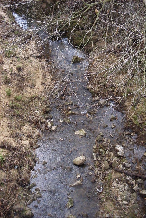 2006-02-17-009-Stream