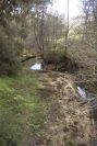2006-02-17-010-Stream