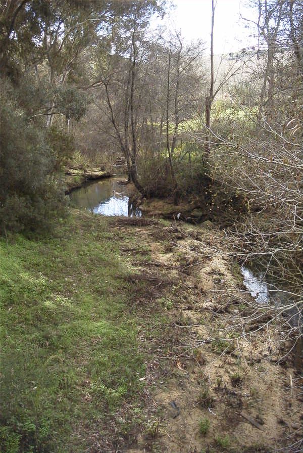 2006-02-17-010-Stream