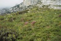 2006-04-04-013-Gibraltar