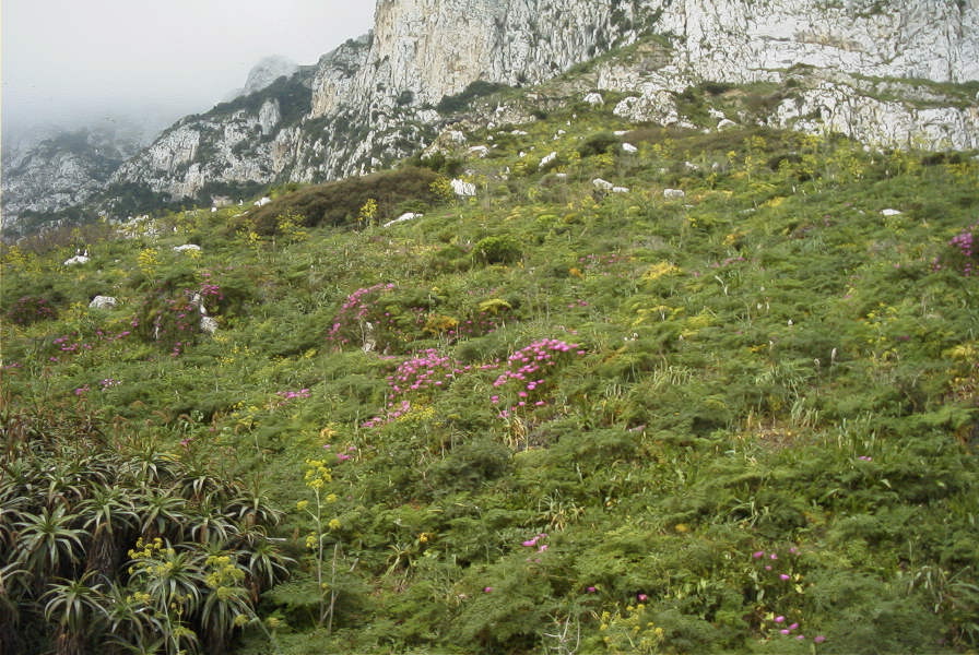 2006-04-04-013-Gibraltar