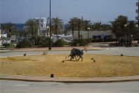 2006-04-06-019-Torre-Guardiaro-to-Estepona