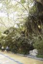 2006-04-07-031-Marbella-day-trip