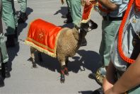 2006-04-08-028-Estepona-parade