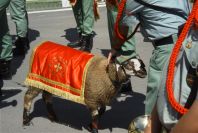2006-04-08-029-Estepona-parade