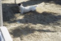 2006-04-08-037-Estepona