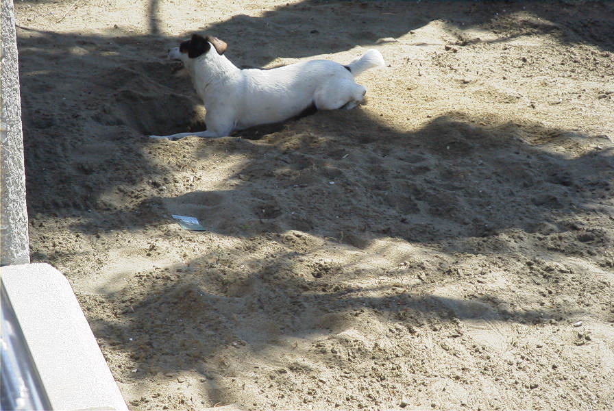2006-04-08-037-Estepona