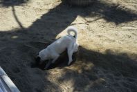 2006-04-08-038-Estepona