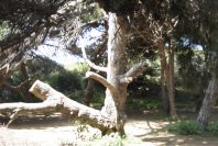 2006-04-10-016-Marbella-to-Cala-de-Mijas