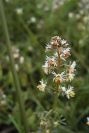 2006-04-11-012-Unknown