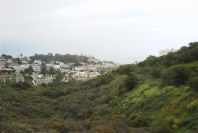2006-04-11-019-Rare-wild-area