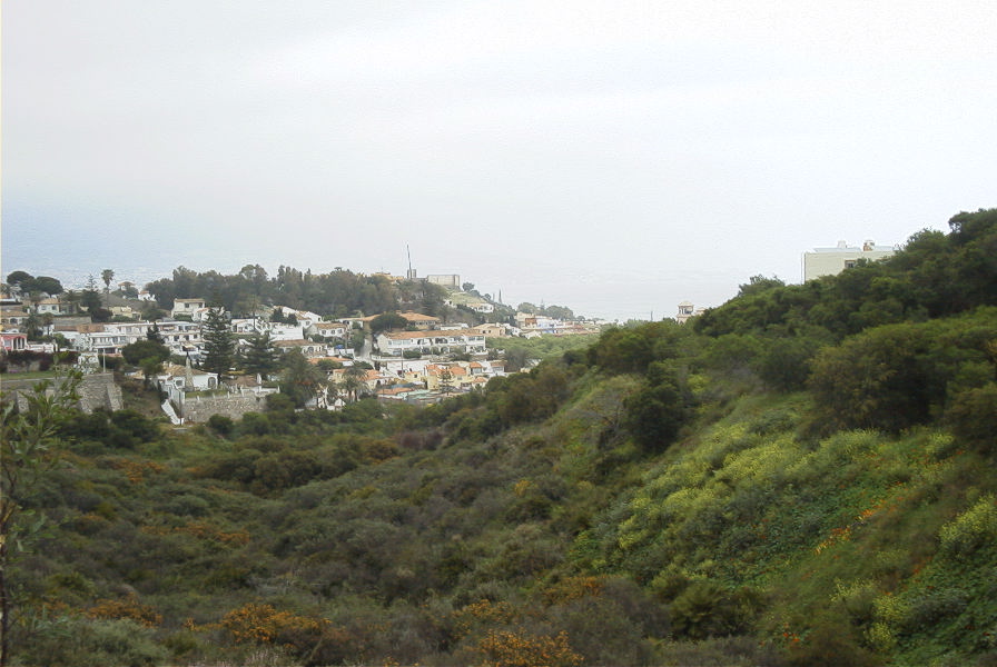 2006-04-11-019-Rare-wild-area