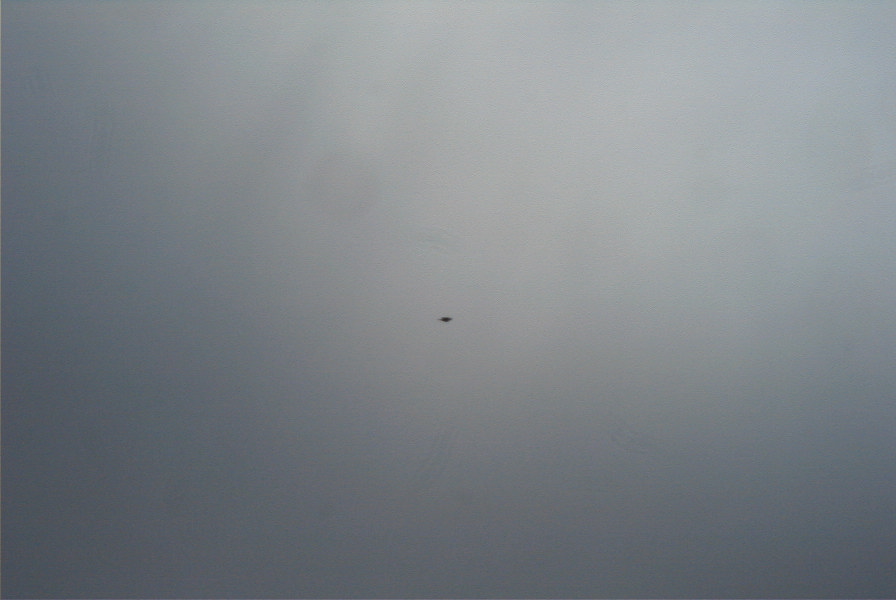 2006-04-13-004-Bee-eater