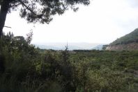2006-04-15-007-Estepona-Local-Walk