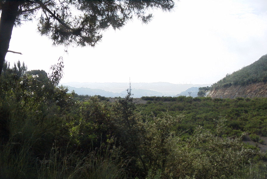 2006-04-15-007-Estepona-Local-Walk