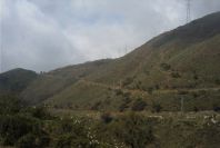 2006-04-15-018-View